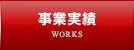 事業実績